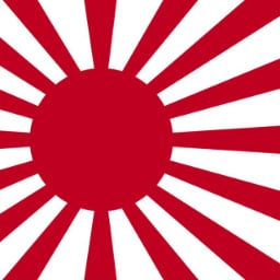 完美被害人 cover
